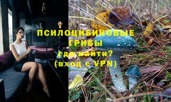 PSILOCYBIN Богородицк