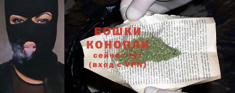 Бошки Шишки THC 21%  Зерноград 